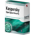 Kaspersky TotalSpace Security Russian Edition. 25-49 User 1 year Base License